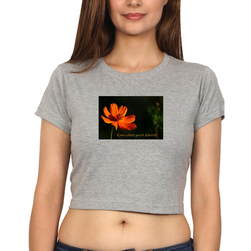 Crop Top for Ladies (BLOOM)