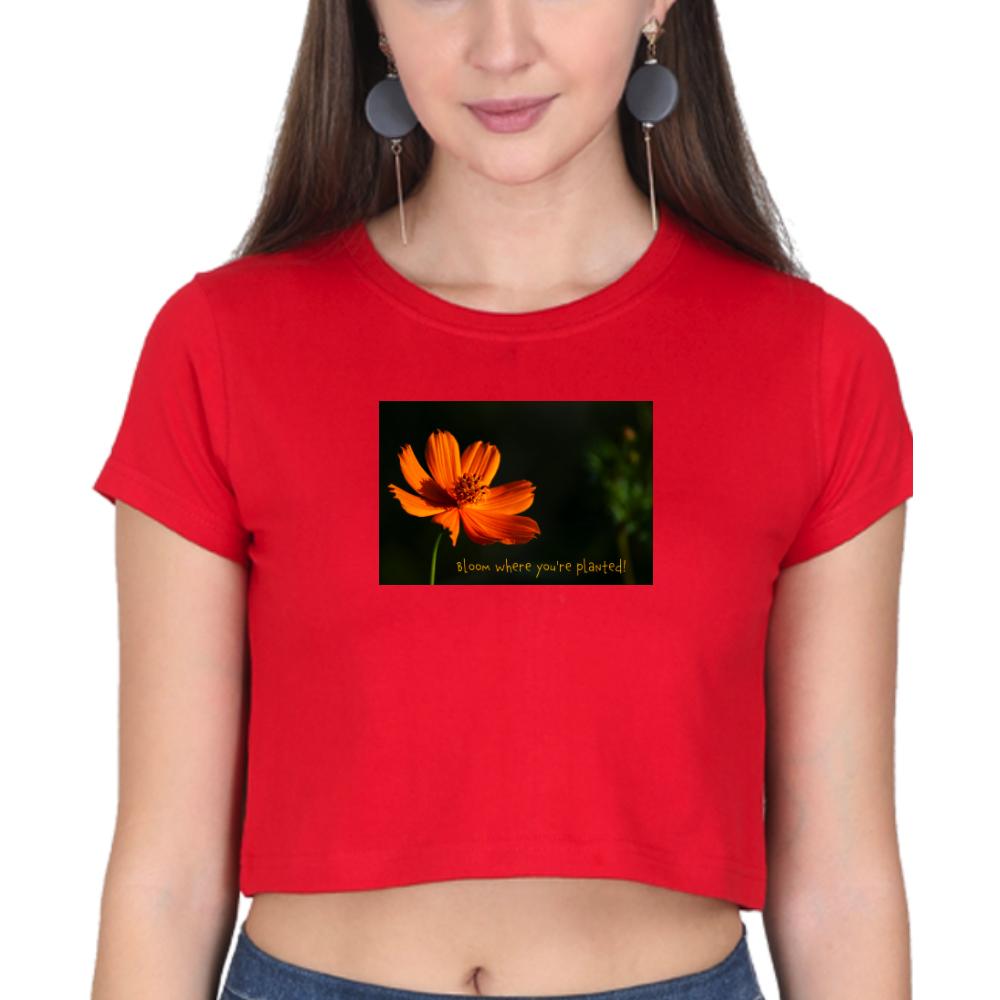 Crop Top for Ladies (BLOOM)