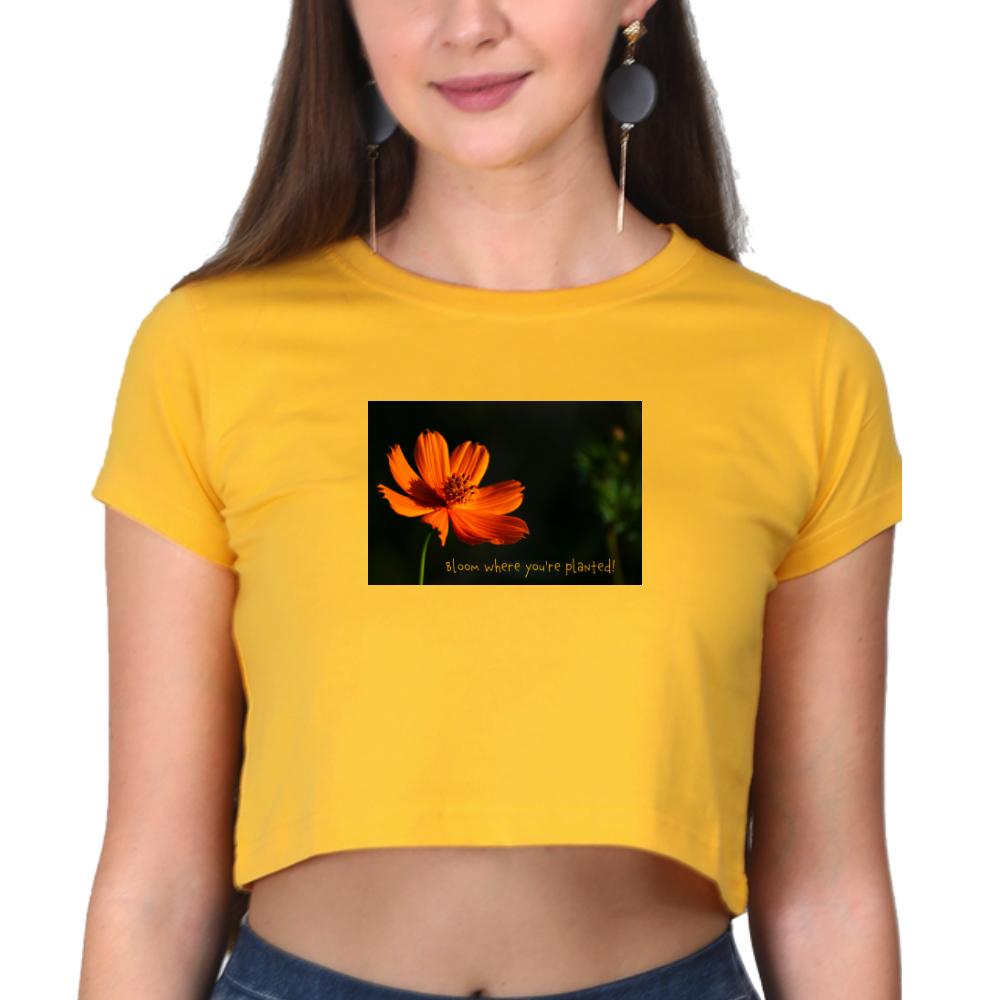 Crop Top for Ladies (BLOOM)