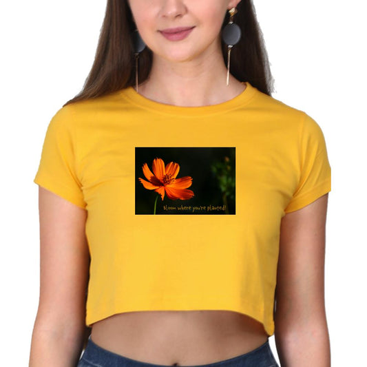 महिलाओं के लिए क्रॉप टॉप (ब्लूम)