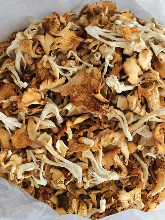 Purta Himalayan Oyster Mushroom